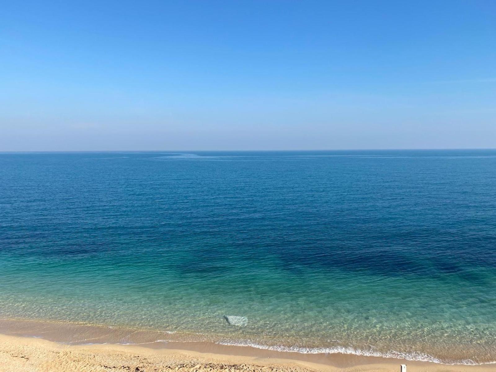 Sole House Apartment Bisceglie Luaran gambar